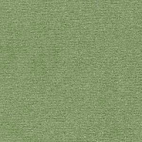 Ковролин Radici Nexus Lichene 8225 фото 1 | FLOORDEALER